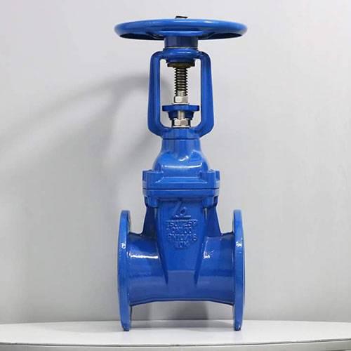 Van xả khí kép mặt bích ARCX ShinYi 5 Van Cổng Ty Chìm Tay Quay RVHX ShinYi