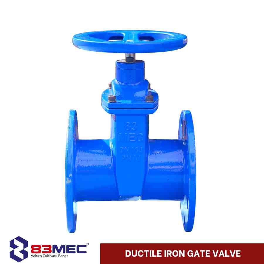 Van cổng ty chìm DN100 83MEC 2 Van cổng ty chìm gang dẻo DN100 83MEC